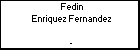 Fedin Enriquez Fernandez