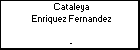 Cataleya Enriquez Fernandez
